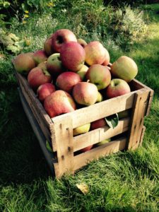 Saisonales Obst im Frühling