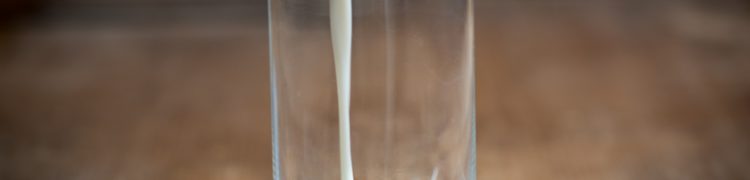 Probiotika: Milch