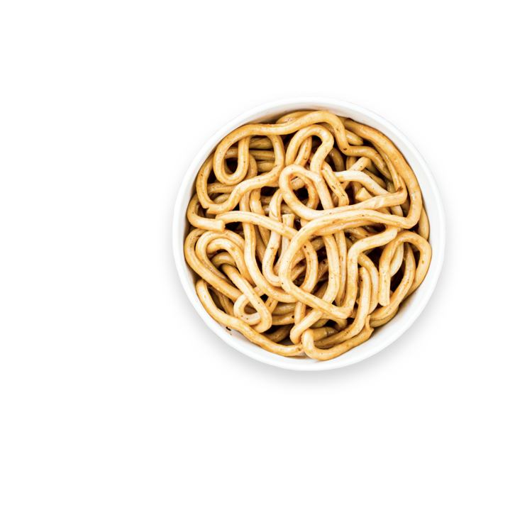 Udon Noodles