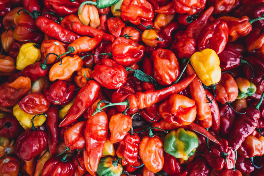 Rote und gelbe Chilis in verschiedenen Formen - besonders beliebt in der mexikanischen Küche