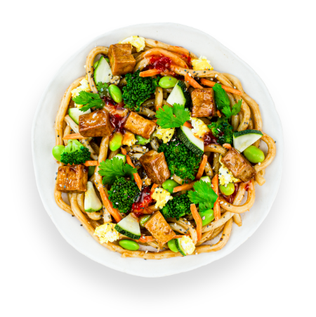 Japanese Tofu Udon Noodles