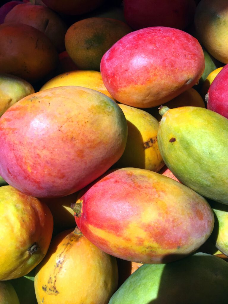 Ein Haufen Mangos mit gelb, rot, grün marmorierter Schale