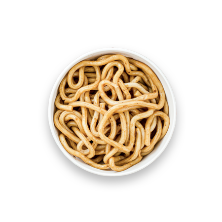 Udon Noodles