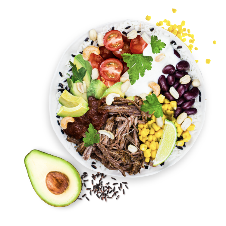 Mexican Pulled Beef Bowl
