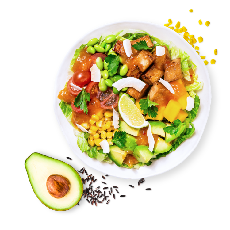 Exotic Mango Tofu Salad