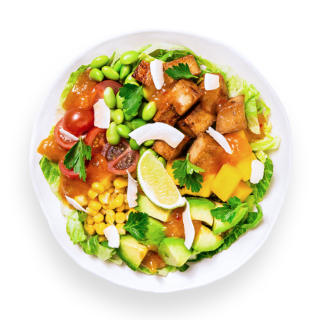 Exotic Mango Tofu Salad