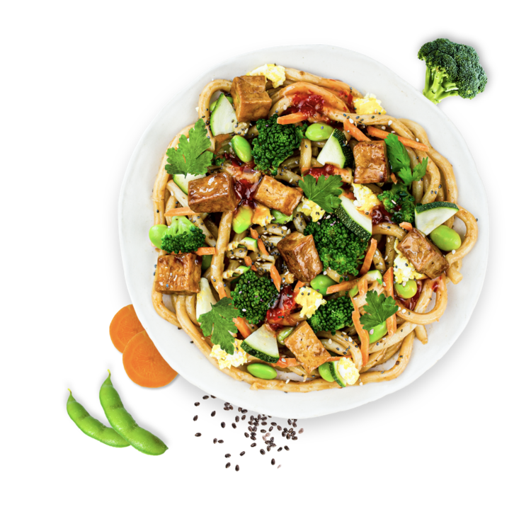 Veggie Japanese Udon Noodles