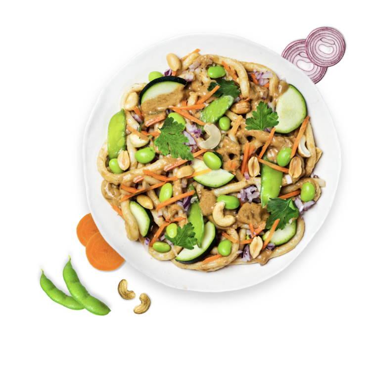 Vegan Peanut Udon Noodles